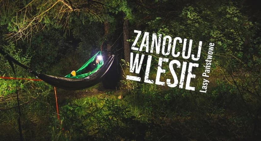 Legal Wild Camping: Poland's Zanocuj w Lesie Program